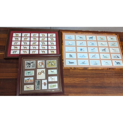 116 - A collection of cigarette and collectors cards in albums and frames to include Radio Celebrities, St... 