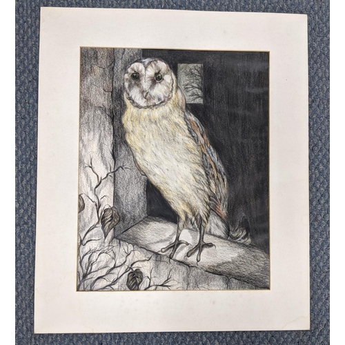 154 - A mixed media study on paper of a perched owl, unframed, not glazed and unsigned
Location:RAB
If the... 