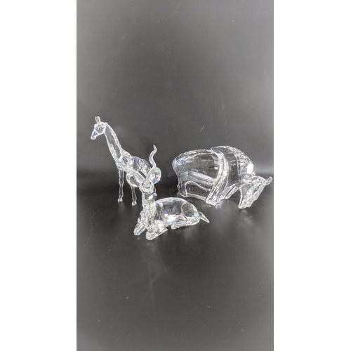 441 - ***THIS LOT HAS BEEN WITHDRAWN***Three boxed Swarovski Crystal examples to include a Buffalo, Kudu G... 