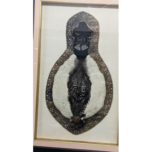 496 - A taxidermy framed Speckled Goose mounted on leather Location:LAB
If there is no condition report sh... 