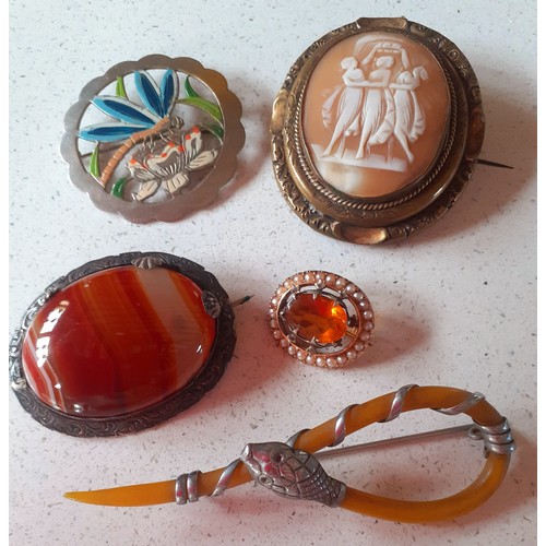 47 - A quantity of Victorian and later brooches to include a cameo, an agate example, a 1920's 'Serpent E... 