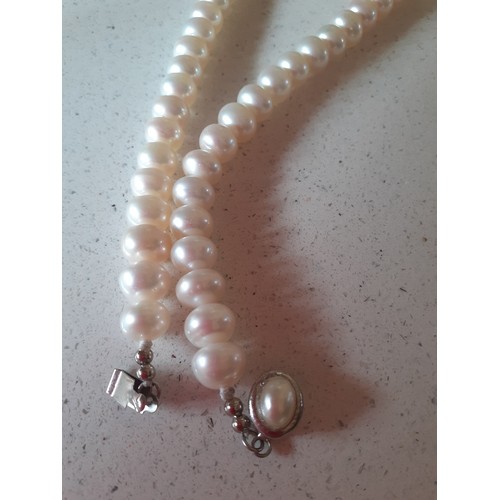 70 - A Lotus pearl necklace having a 9ct gold clasp stamped 375, makers mark A Ld ( A Ltd), 41cm long in ... 