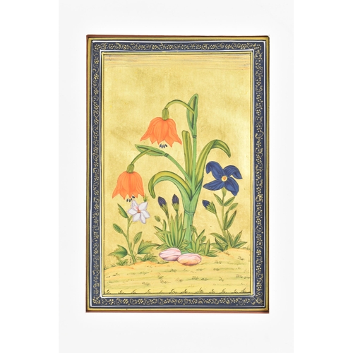 94 - An Indian botanical miniature watercolour on paper depicting buds of flowers on a gilt ground, 14cm ... 