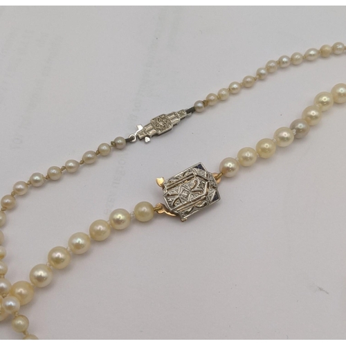 116 - Two pearl necklaces to include one example having a 9ct white gold clasp, along with one other havin... 