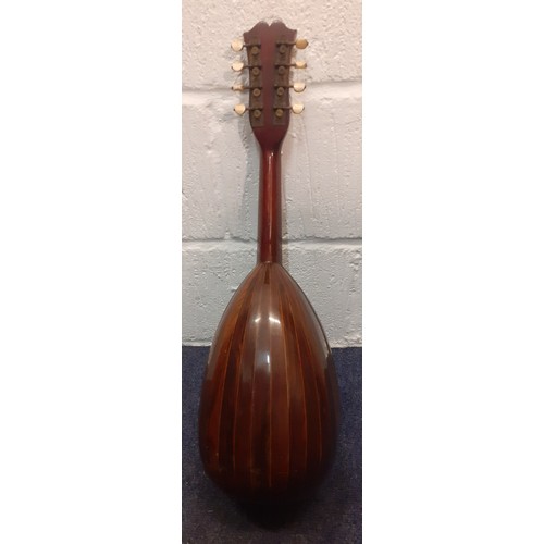 124 - A Phebe mandolin together with a German Kay & Co squeeze box housed in a mahogany box. Location: 1-2... 