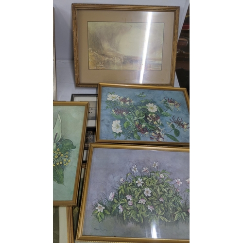 444 - Mixed framed and glazed pictures to include three Cries of London, E Patricia Dyson wild floral prin... 