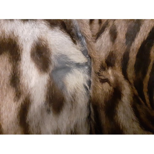 46 - A vintage ocelot fur coat, approx 40