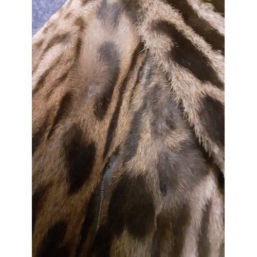 46 - A vintage ocelot fur coat, approx 40