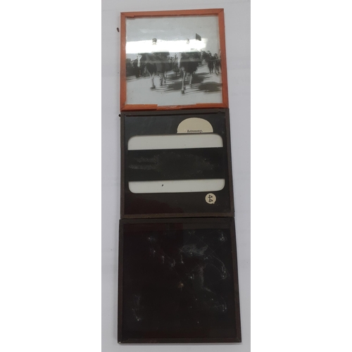 190 - A quantity of magic lantern slides to include plants, archaeology, and church interiors Location: BW... 