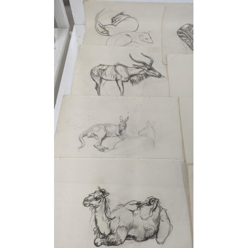 110 - A folder of amateur drawings depicting various animals by Athene Andradas
LOCATION: BWR
IF THERE IS ... 