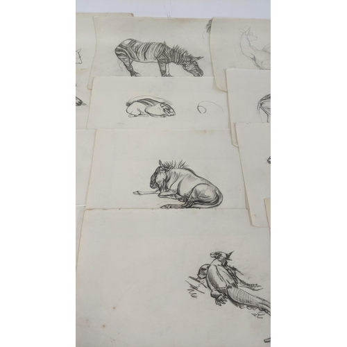 110 - A folder of amateur drawings depicting various animals by Athene Andradas
LOCATION: BWR
IF THERE IS ... 