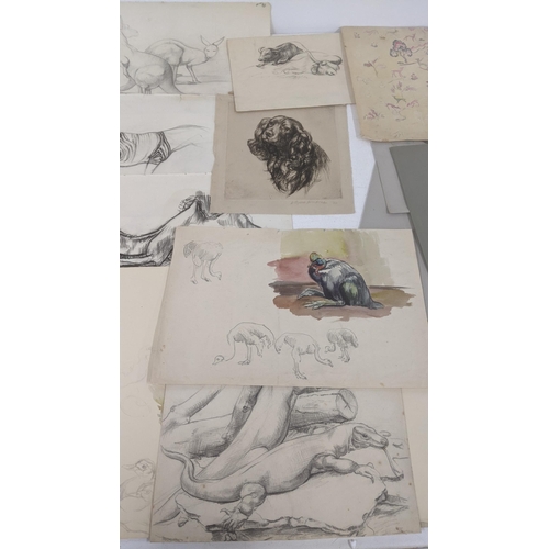 110 - A folder of amateur drawings depicting various animals by Athene Andradas
LOCATION: BWR
IF THERE IS ... 