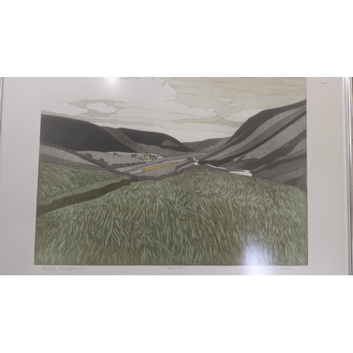 356 - A John Brunsdon limited edition signed coloured etching titled Black Mountains 84cm x 61.5cm Locatio... 