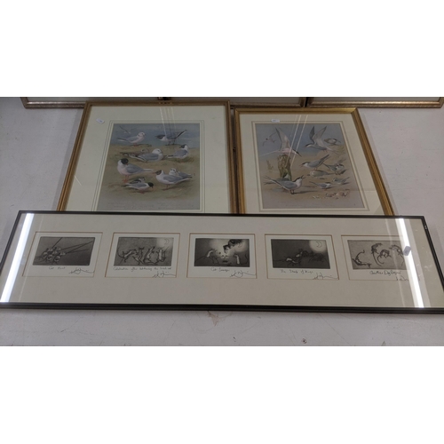 358 - Mixed framed and glazed prints to include 5 monochrome etchings of cats and mice, together with two ... 