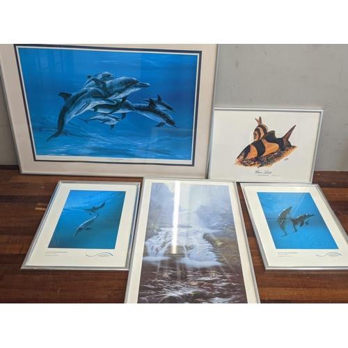 560 - Five framed prints to include a Rachel Bishop 'Living in harmony' limited edition print
Location:A3M... 