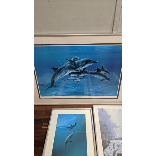 560 - Five framed prints to include a Rachel Bishop 'Living in harmony' limited edition print
Location:A3M... 