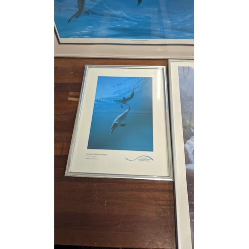 560 - Five framed prints to include a Rachel Bishop 'Living in harmony' limited edition print
Location:A3M... 