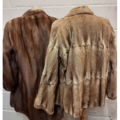 52 - A late 1970's/early '80's Saga brown mink hip length coat having bellow sleeves by JW Scott Furriers... 