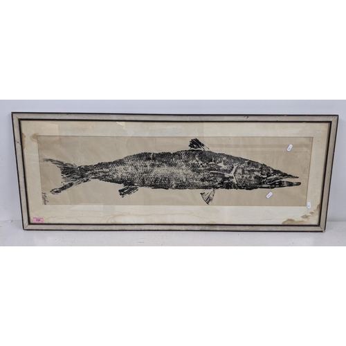 334 - A 20th century print of a fish, possibly using the gyotaku method, bears an indistinct signature to ... 