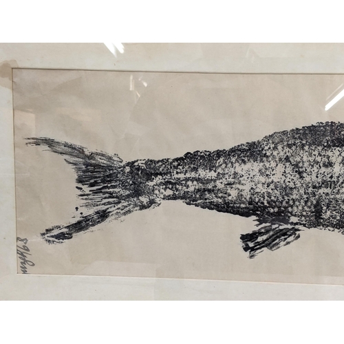 334 - A 20th century print of a fish, possibly using the gyotaku method, bears an indistinct signature to ... 