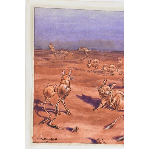 119 - Leonard Robert Brightwell (1889-1983) A watercolour depicting jerboas and bullets, signed to the low... 