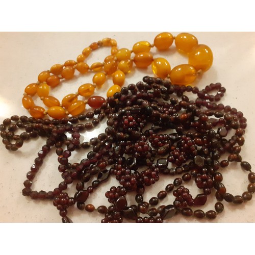 78 - A butterscotch amber bakelite bead necklace with double knot between each bead, approx 60cm long tog... 