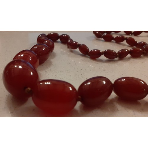 77 - A cherry amber graduated bead necklace, double knotted between each bead, approx 90cm long. Location... 