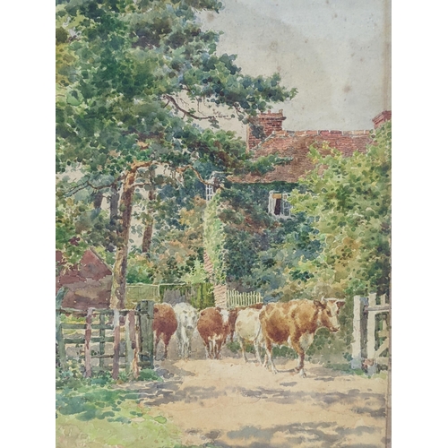 91 - A watercolour depicting cattle walking down a country track besides a cottage , signed G.M. Kenton t... 