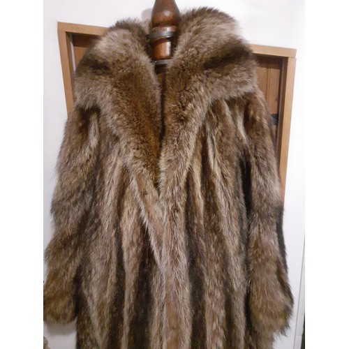 76 - A vintage brown racoon full length coat A/F with shawl collar with bamboo design lining, approx 40/4... 