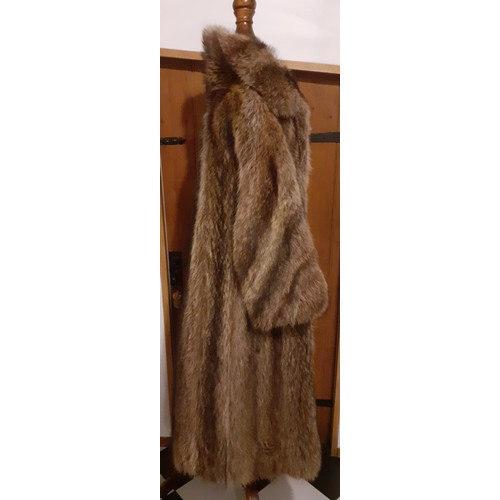 76 - A vintage brown racoon full length coat A/F with shawl collar with bamboo design lining, approx 40/4... 