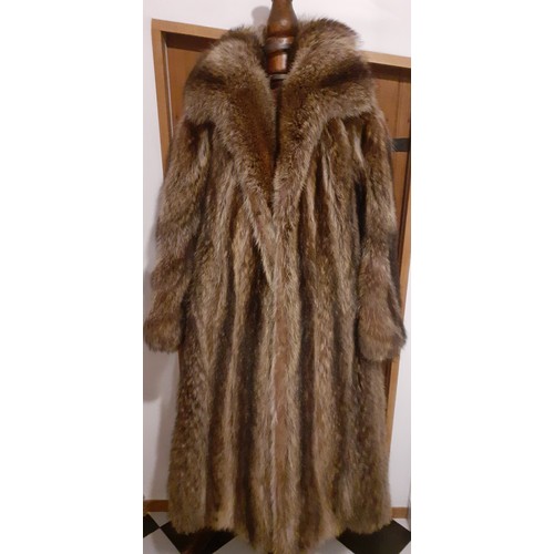 76 - A vintage brown racoon full length coat A/F with shawl collar with bamboo design lining, approx 40/4... 