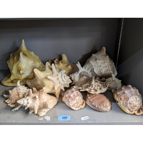 466 - A group of sea shells to include conch and sea snail shells 
Location: 10.3
If there is no condition... 