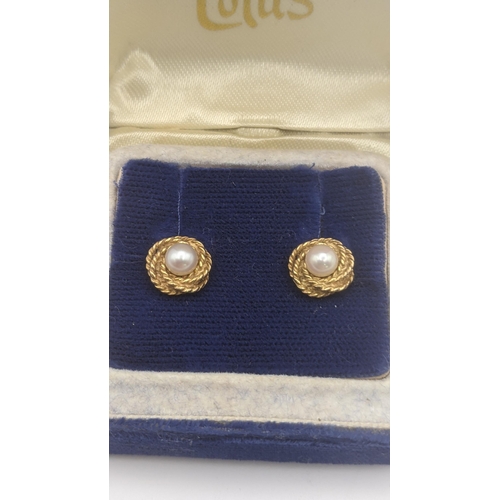 133 - A cameo brooch mounted in 9ct yellow gold together with a pair of 9ct yellow gold and pearl stud ear... 