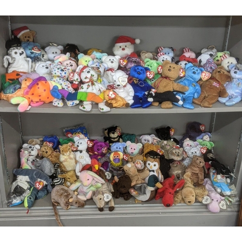 35 - A large collection of TY Beanie Bears, all with original tags, to include Christmas related examples... 