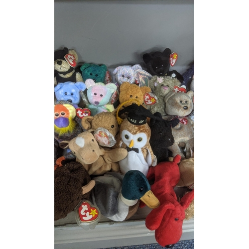 35 - A large collection of TY Beanie Bears, all with original tags, to include Christmas related examples... 