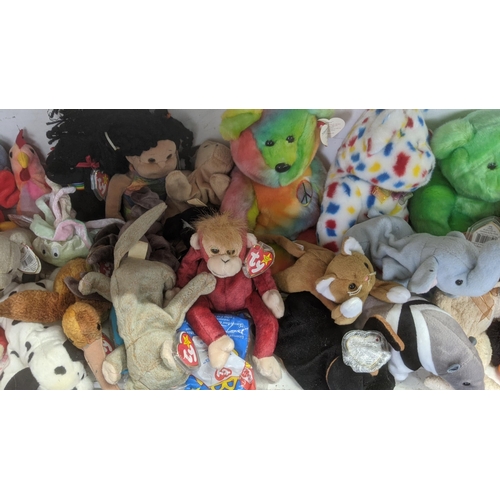 36 - A large collection of TY Beanie Bears, all with original tags, to include Christmas related examples... 