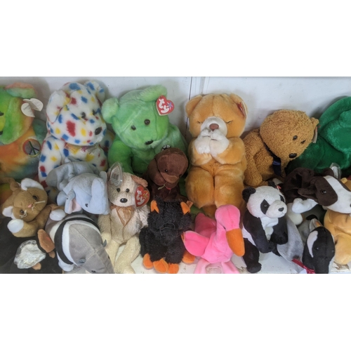 36 - A large collection of TY Beanie Bears, all with original tags, to include Christmas related examples... 