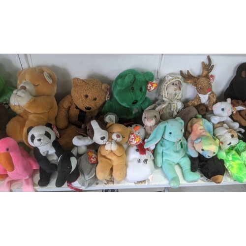 36 - A large collection of TY Beanie Bears, all with original tags, to include Christmas related examples... 