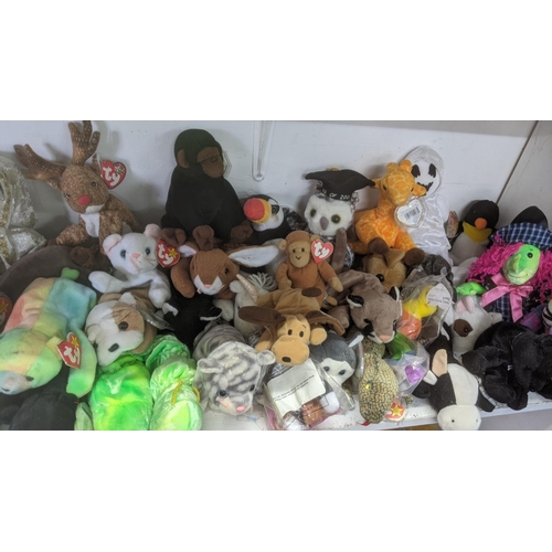 36 - A large collection of TY Beanie Bears, all with original tags, to include Christmas related examples... 