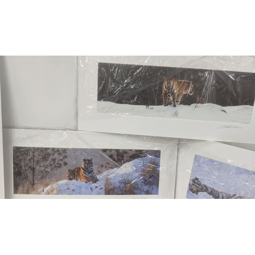 46 - Cheng Yan a photographic signed pictures depicting tigers in snowy landscapes 45cm x15cm
Location: L... 