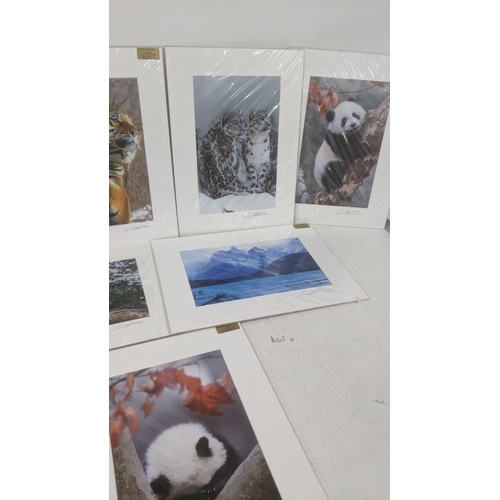 49 - Cheng Yan 10 photographic signed pictures 8 depicting animals out in the wild along with one other d... 