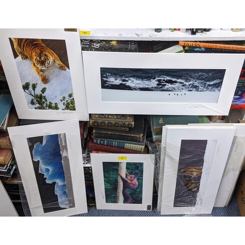 47 - Cheng Yan a photographic signed pictures depicting wildlife examples and an example of a glacier (1-... 