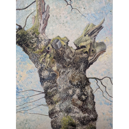 447 - Two paintings - 'Beware of the Bull' oil on board depicting an abstract tree 87cm x 70cm, and anothe... 