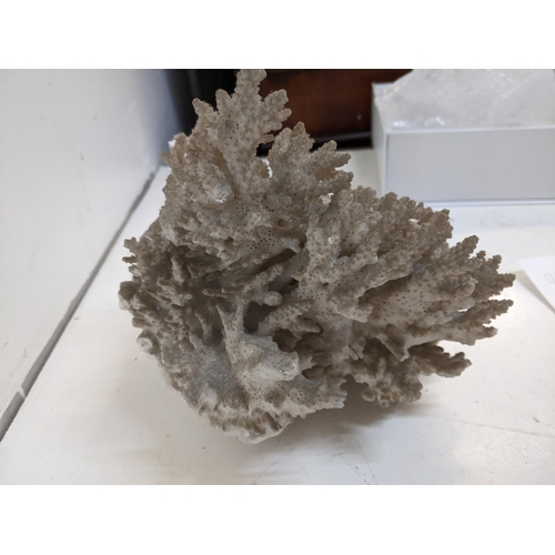 225 - A piece of tropical coral measuring approximately 20cm wide x 21cm high A/F
Location
If there is no ... 