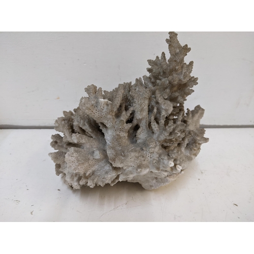 225 - A piece of tropical coral measuring approximately 20cm wide x 21cm high A/F
Location
If there is no ... 