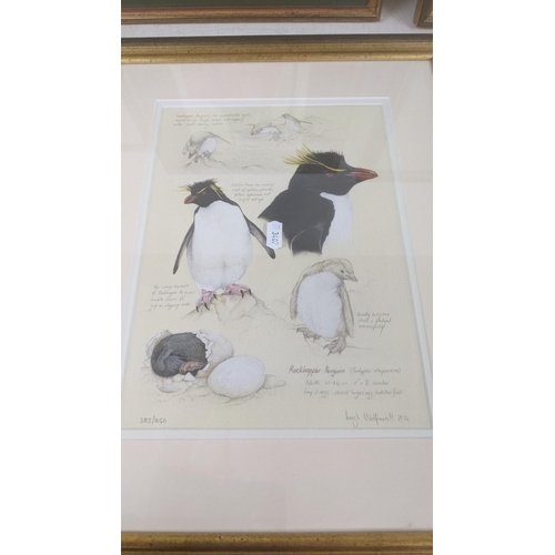 412 - Framed and glazed pictures of various birds to include: two limited prints by Leigh-Anne Wolfaardt t... 