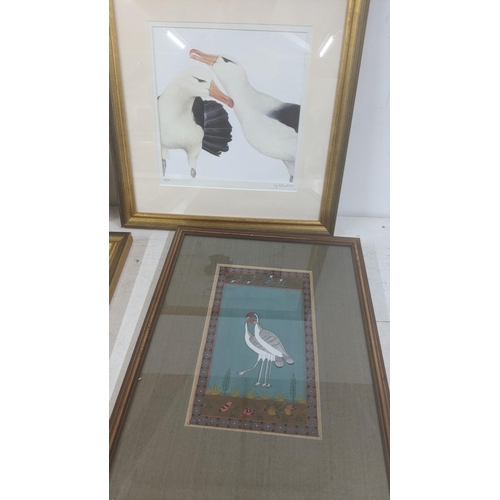 412 - Framed and glazed pictures of various birds to include: two limited prints by Leigh-Anne Wolfaardt t... 