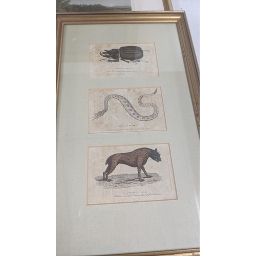 413 - A group of framed and glazed engravings and prints to include: a coloured engraving titled 