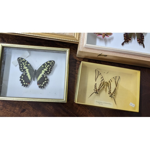 209 - Entomology - a collection of taxidermy butterflies mounted in display boxes
Location: LAB
If there i... 