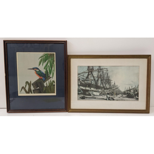 351 - John W Hills - a watercolour depicting a kingfisher, together with a print depicting West India Dock... 